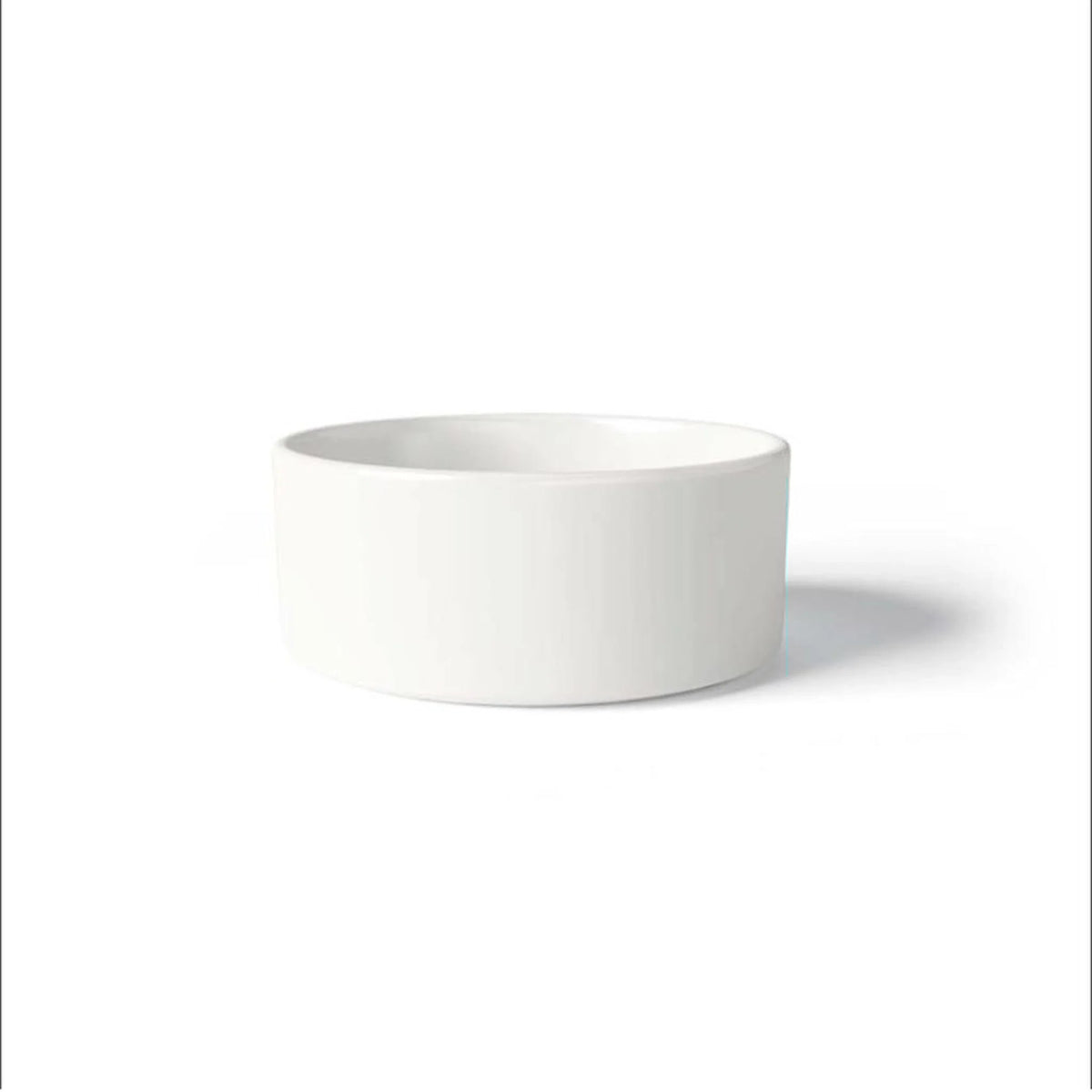 petbowl_blank_large_name_side